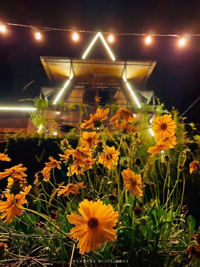 The Backyard 발랑고다 외부 사진